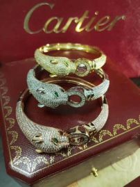 Picture of Cartier Bracelet _SKUCartierbracelet05cly231198